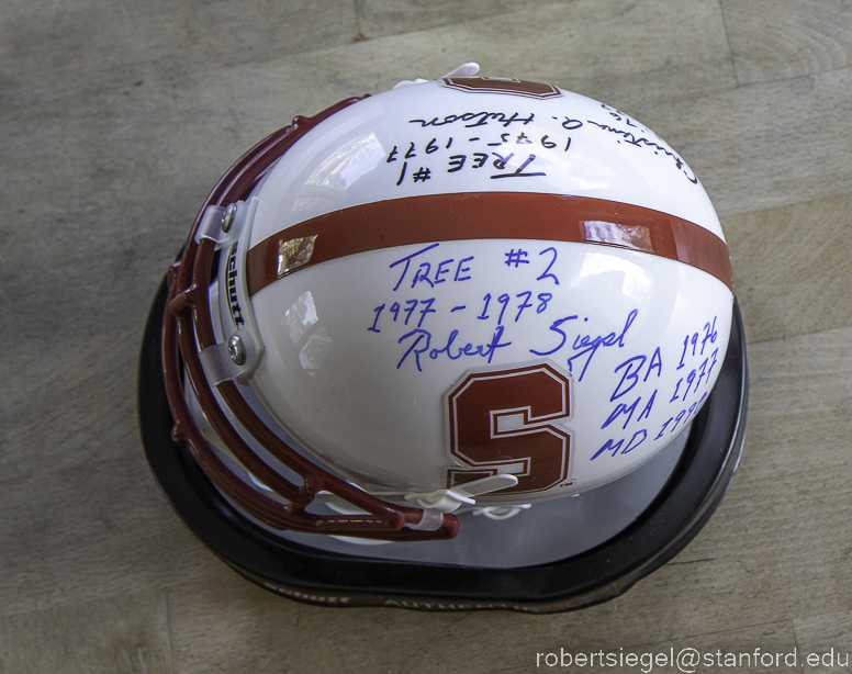 stanford mini-helmet